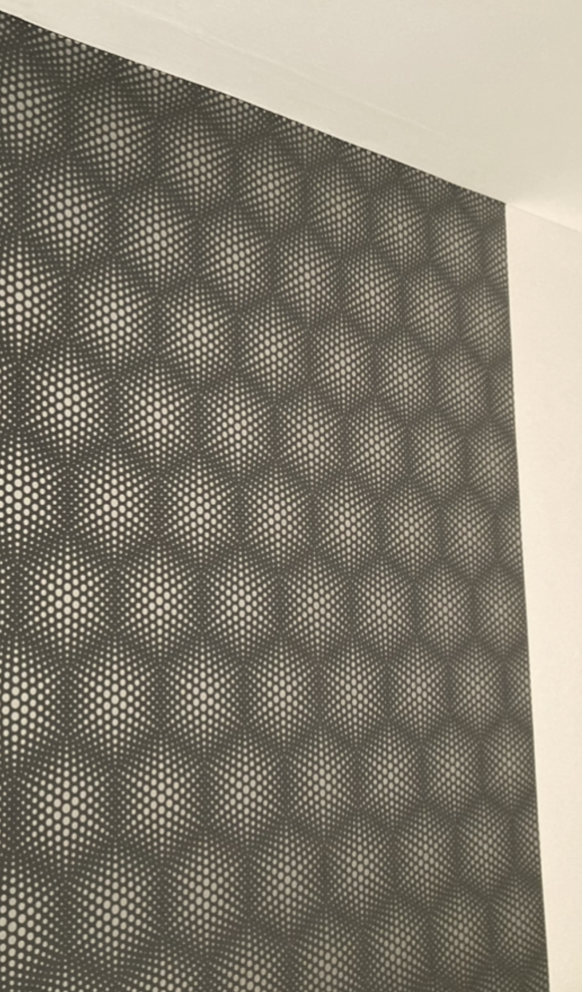 PictrTom-Tapetazas (2)